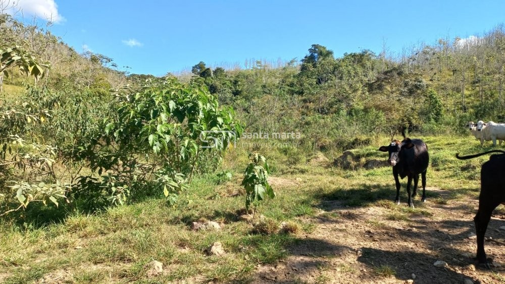 Fazenda à venda, 150m² - Foto 22