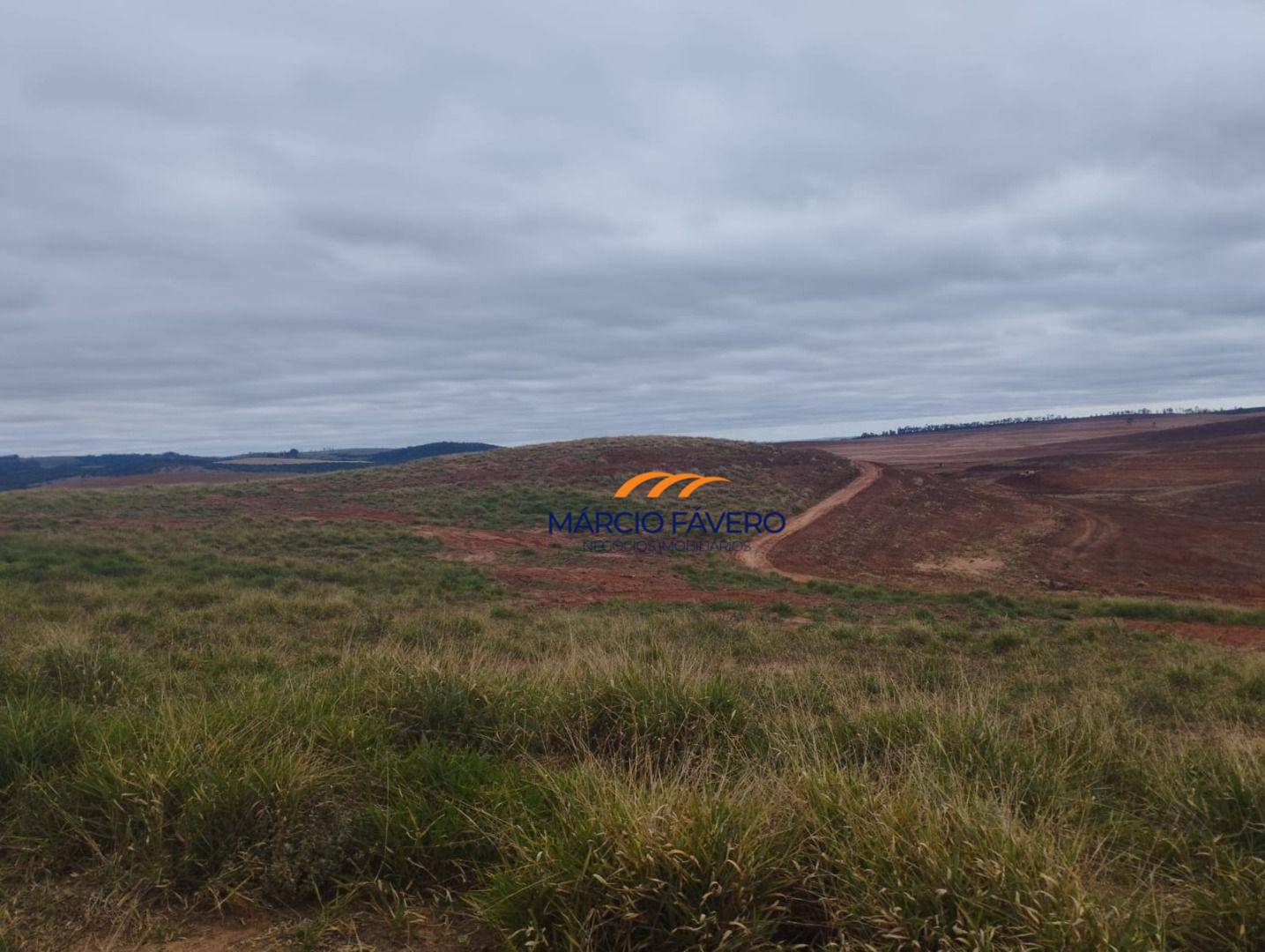 Fazenda, 1198 hectares - Foto 1