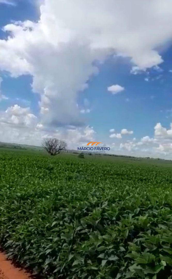 Fazenda, 339 hectares - Foto 2