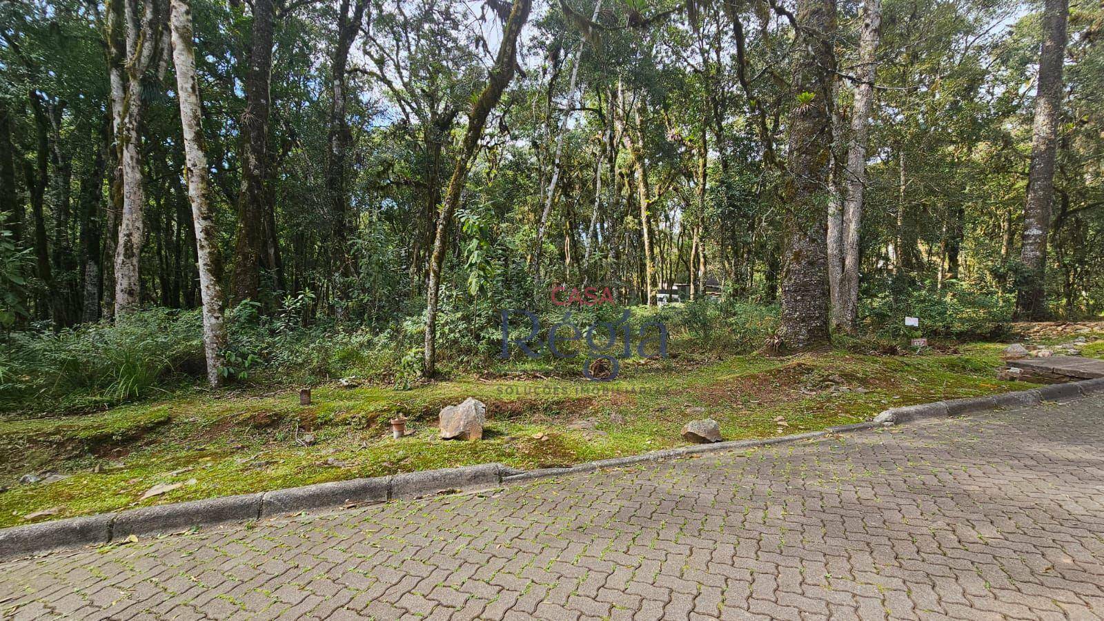 Loteamento e Condomínio à venda, 646M2 - Foto 7