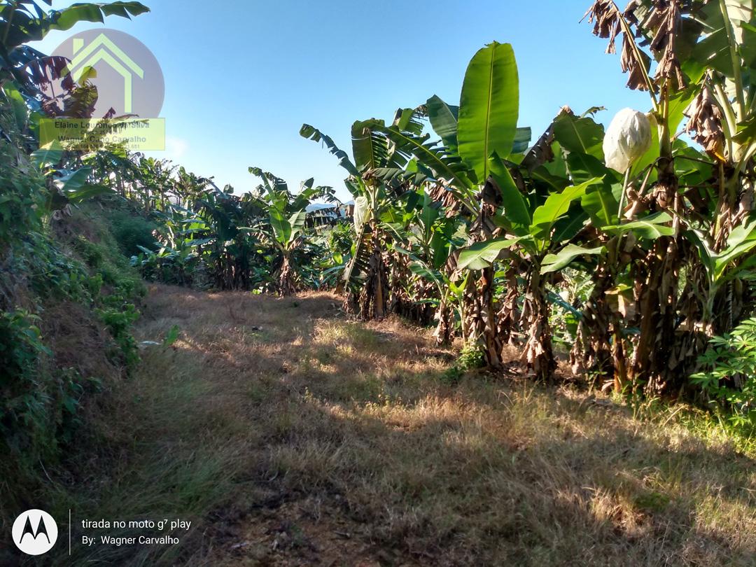 Fazenda à venda com 2 quartos, 8m² - Foto 5