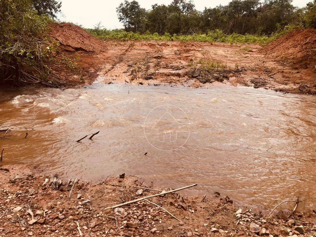 Fazenda à venda, 118290000M2 - Foto 57