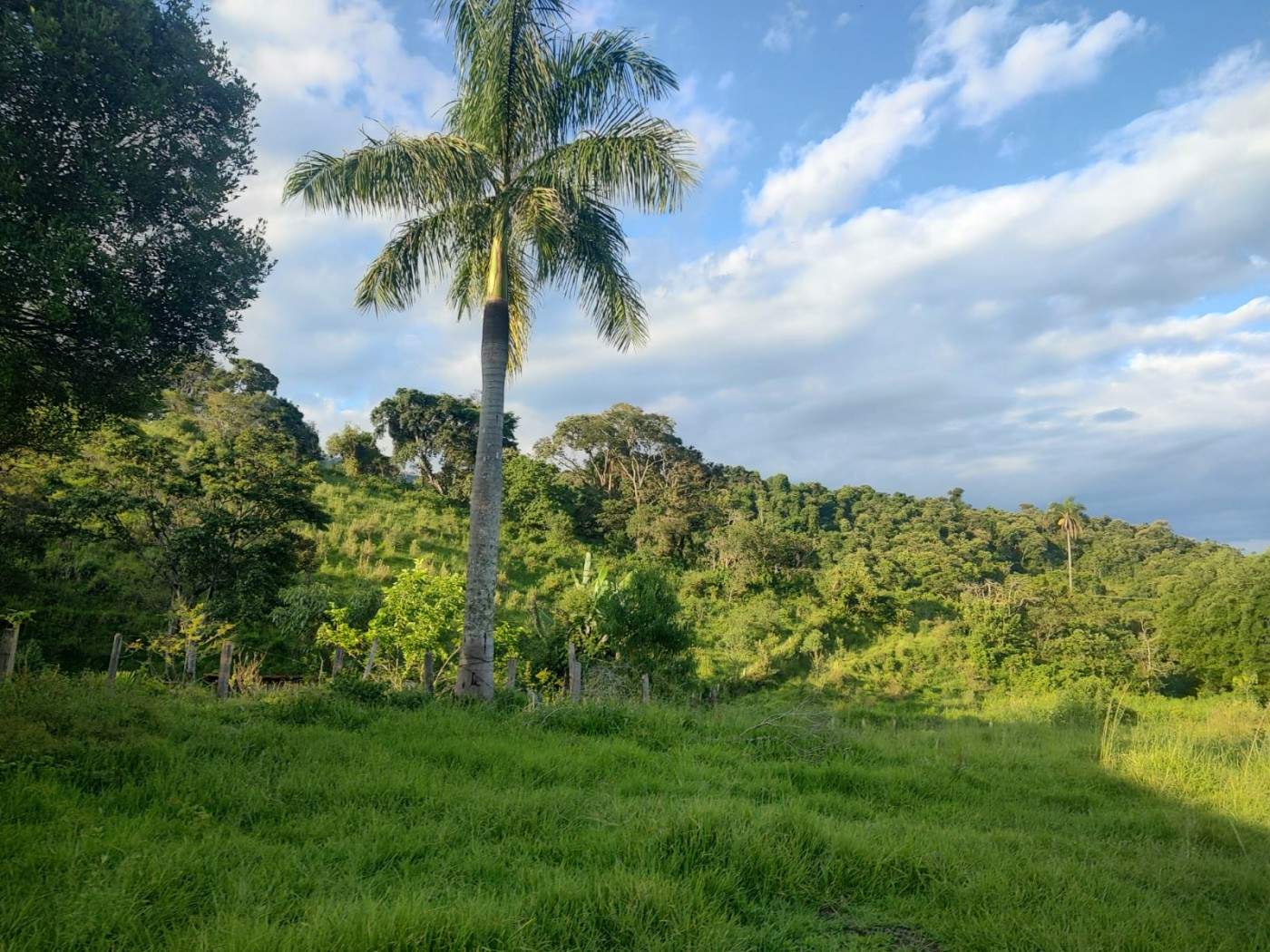 Sítio, 24 m² - Foto 23