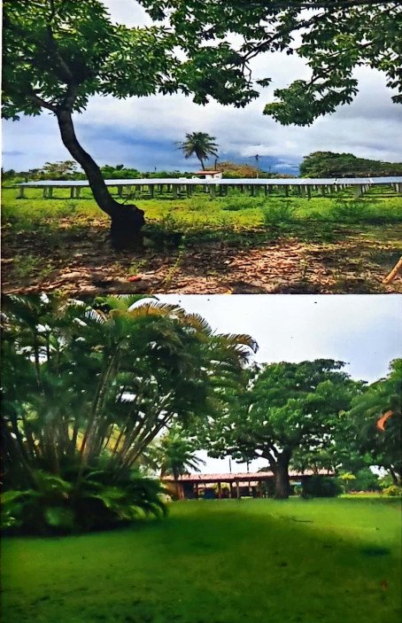 Fazenda à venda com 3 quartos, 46m² - Foto 4