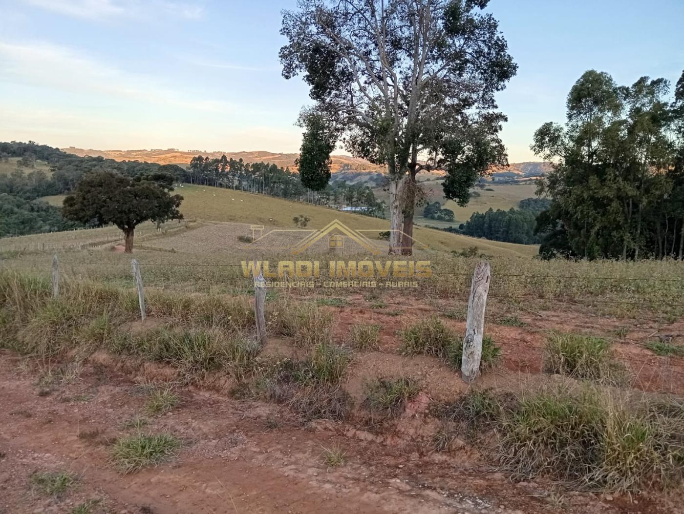 Fazenda à venda, 7m² - Foto 15