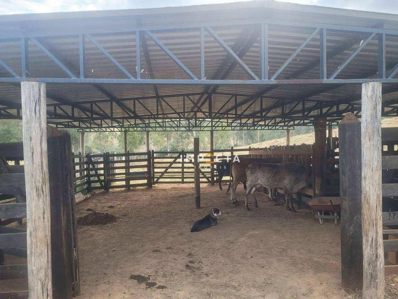 Sítio à venda com 2 quartos, 70000M2 - Foto 12