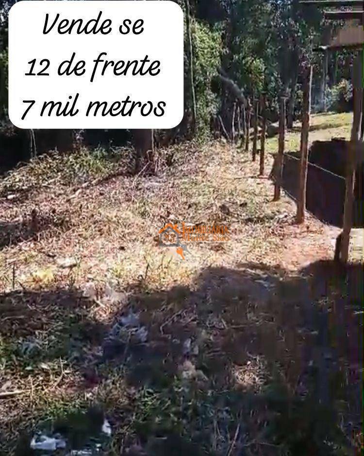 Terreno à venda, 5000M2 - Foto 5
