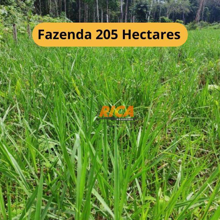 Fazenda-Sítio-Chácara, 205 hectares - Foto 1