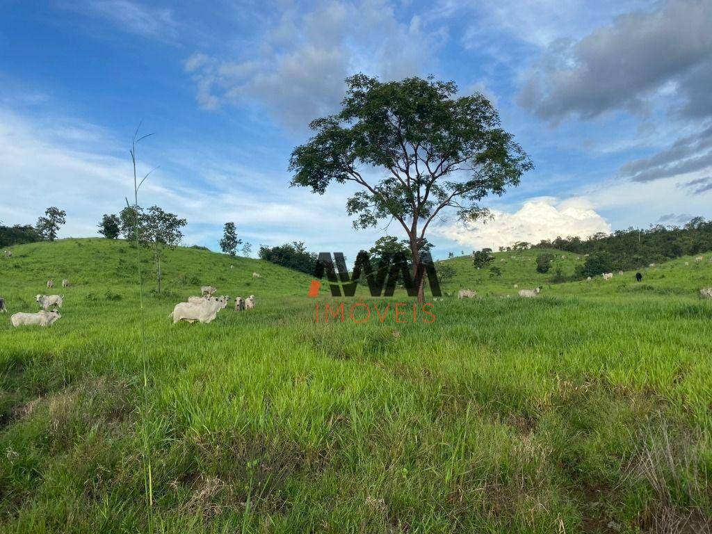 Fazenda à venda, 30000000M2 - Foto 15