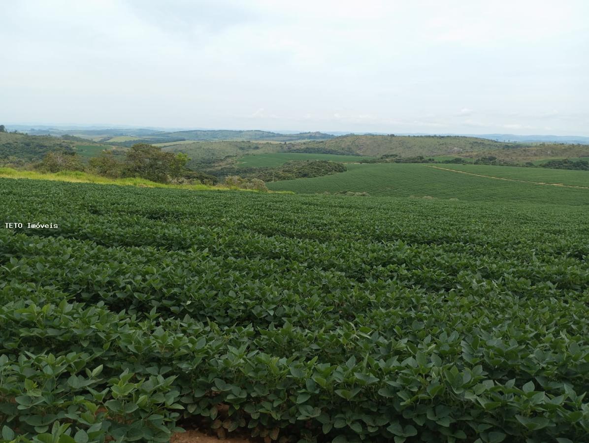 Fazenda à venda, 294m² - Foto 13