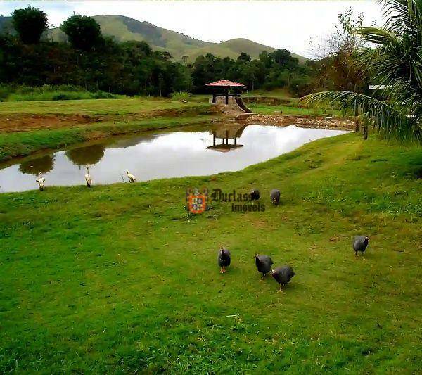 Fazenda à venda com 5 quartos, 1331000M2 - Foto 97