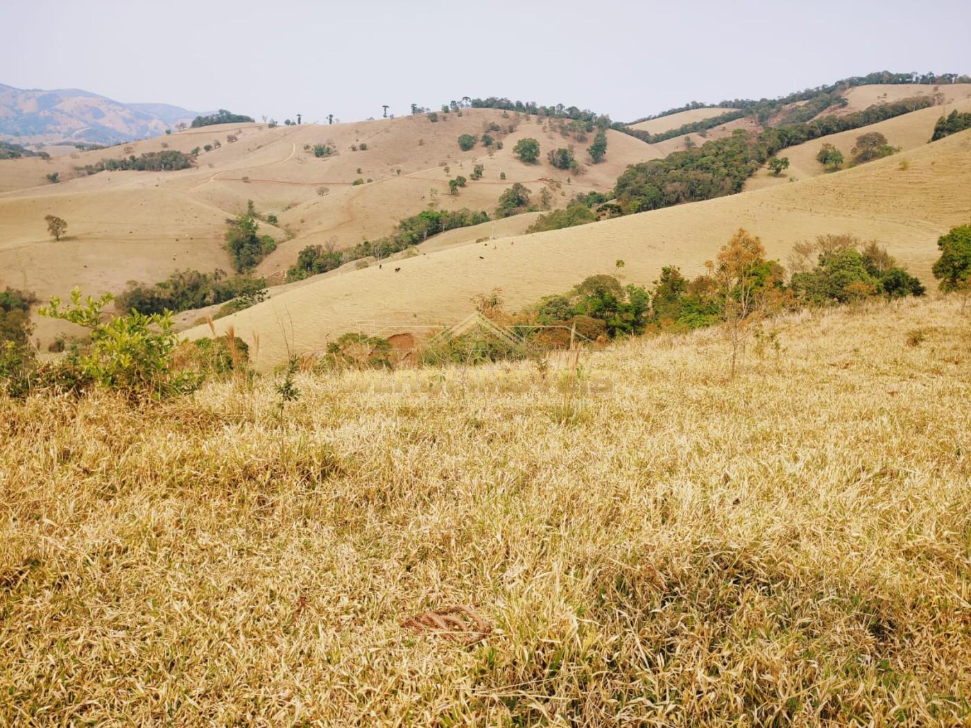 Terreno à venda, 20000m² - Foto 17