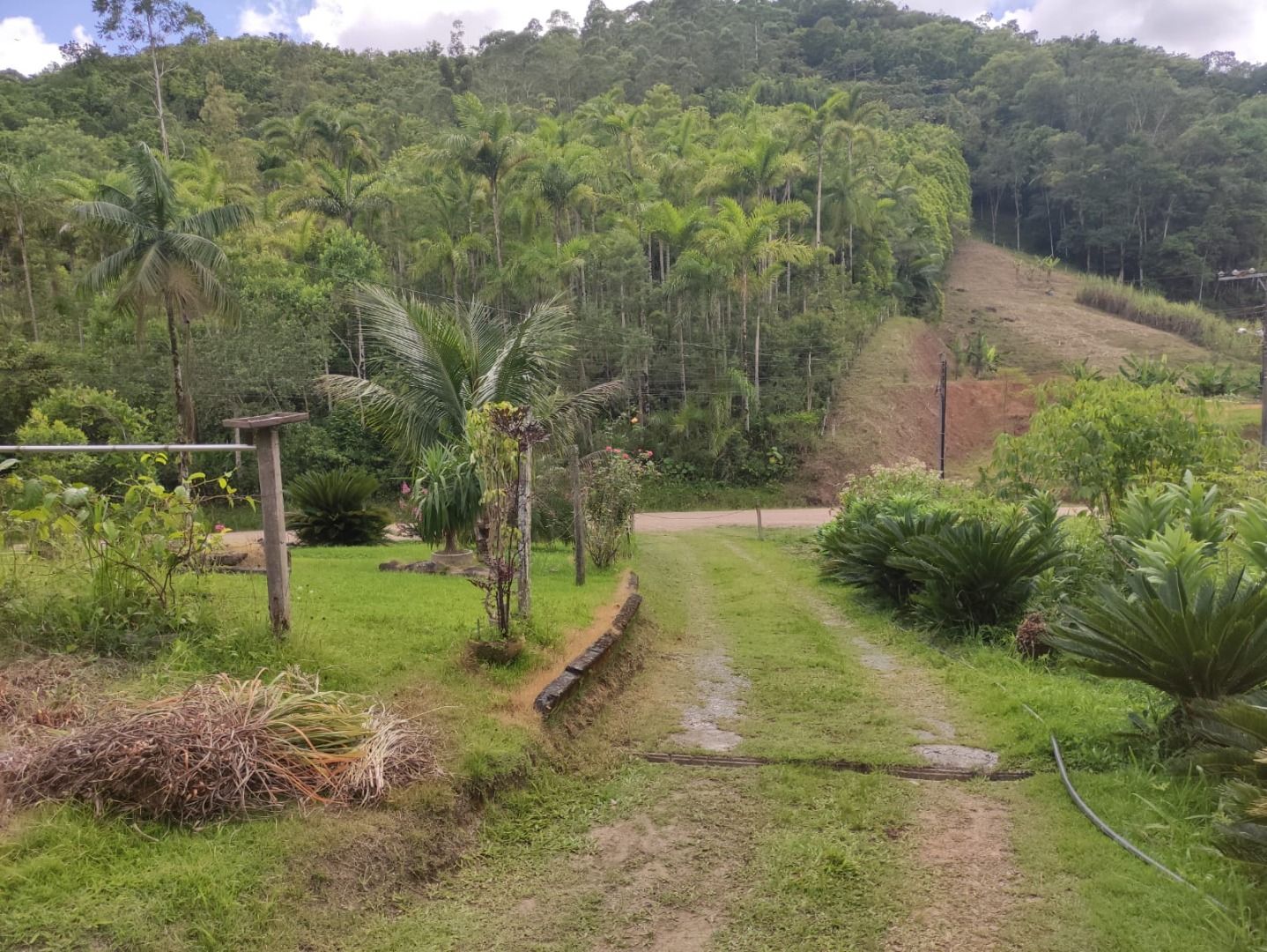 Terreno à venda, 2566M2 - Foto 3