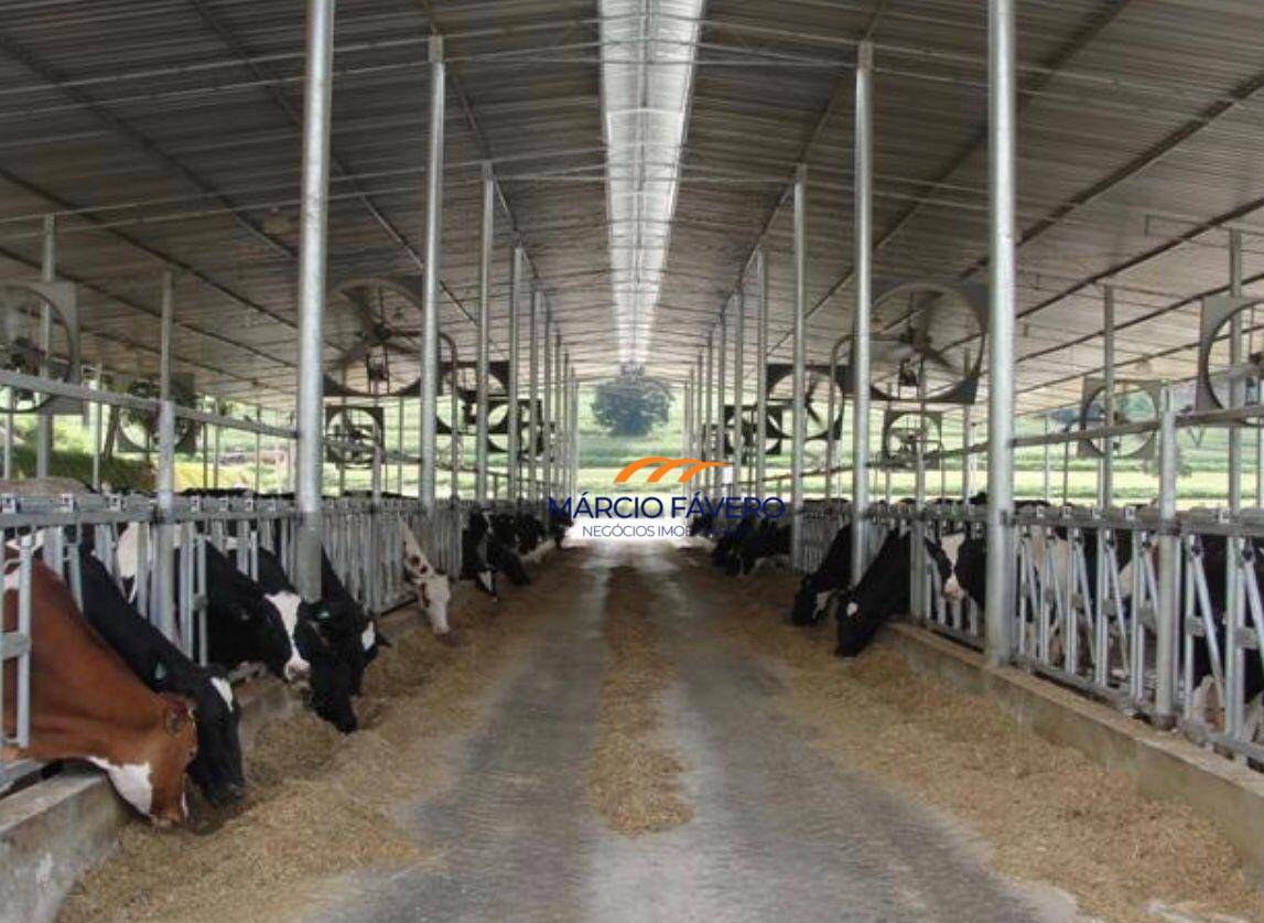 Fazenda, 155 hectares - Foto 1