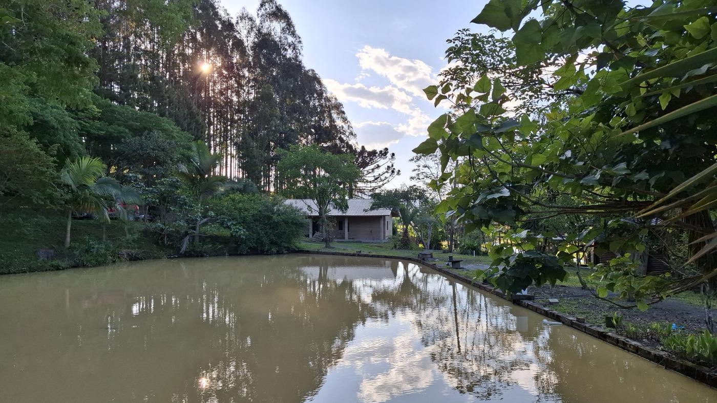 Fazenda à venda com 2 quartos, 8000m² - Foto 20