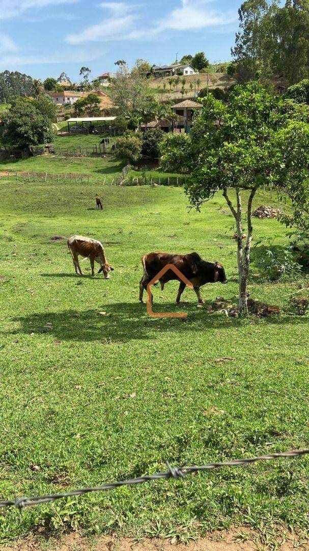 Sítio, 1 quarto, 1 hectares - Foto 3