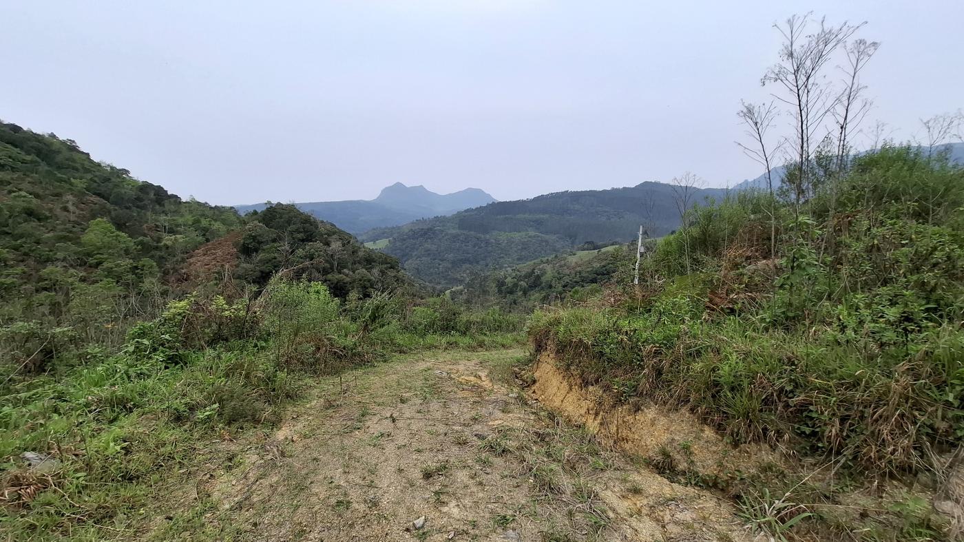 Fazenda à venda, 40000m² - Foto 7