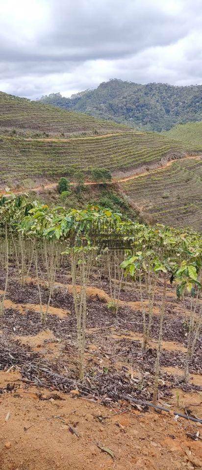 Fazenda à venda, 1452000M2 - Foto 34