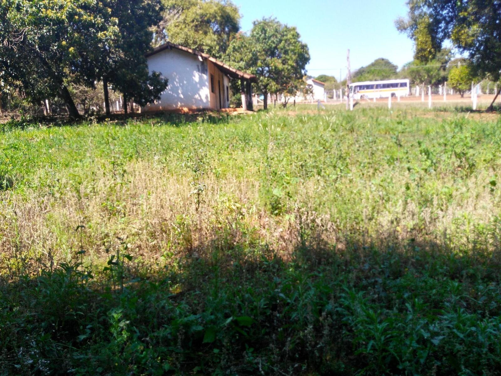 Fazenda à venda, 12500m² - Foto 8