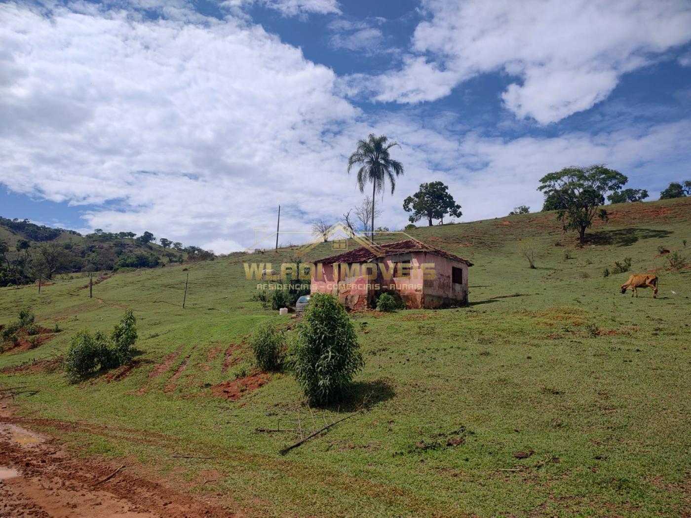 Fazenda à venda, 10m² - Foto 9