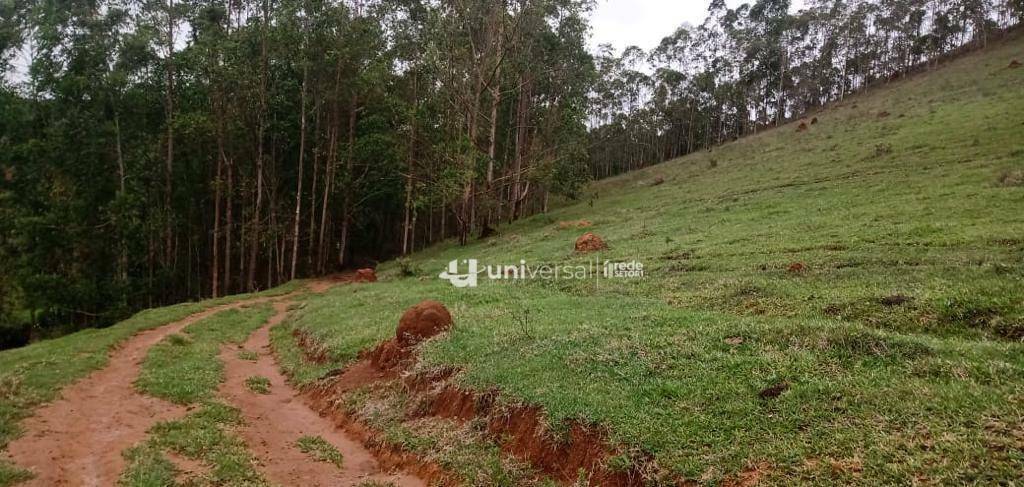 Fazenda à venda com 3 quartos, 1110000M2 - Foto 7