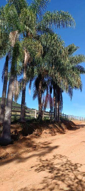 Sítio, 10 hectares - Foto 80