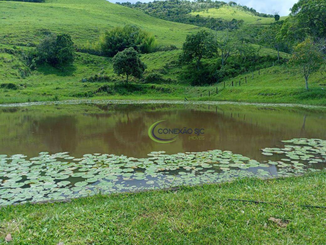 Fazenda à venda com 2 quartos, 1355200M2 - Foto 24