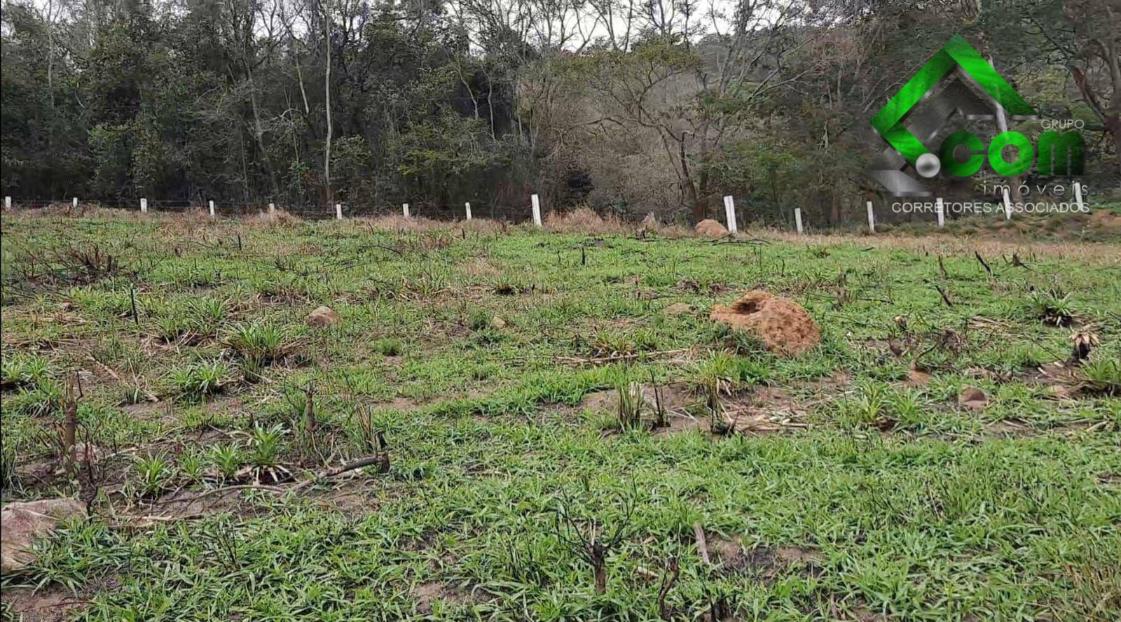 Terreno à venda, 40000M2 - Foto 35