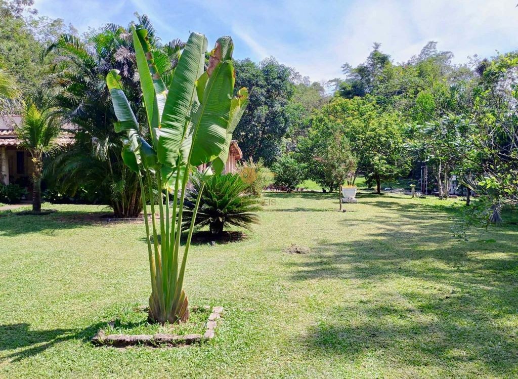 Sítio à venda com 3 quartos, 10000m² - Foto 4