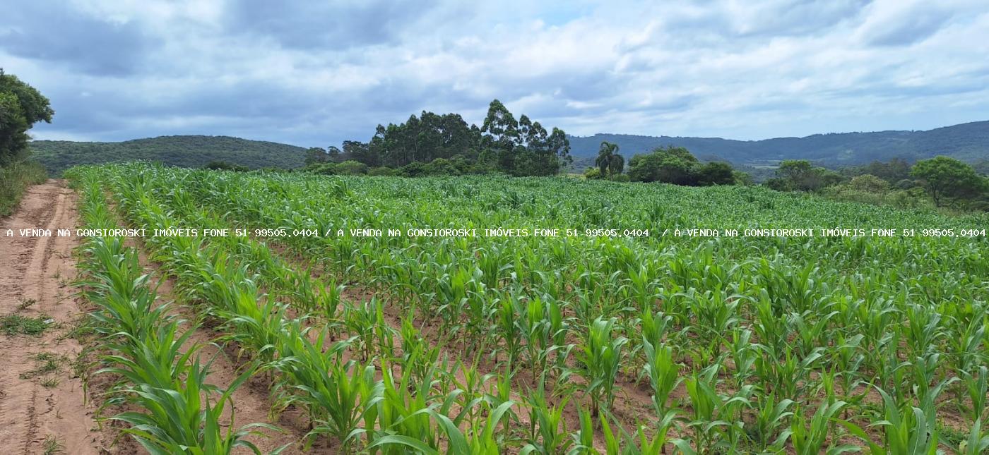 Loteamento e Condomínio à venda, 125000m² - Foto 23
