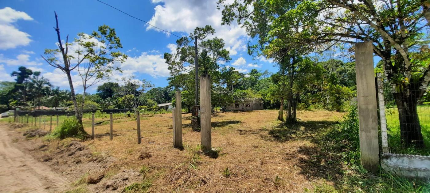 Fazenda à venda com 2 quartos, 3500m² - Foto 19