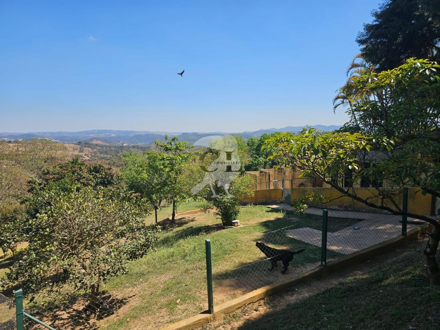 Sítio, 3 quartos, 6 hectares - Foto 2