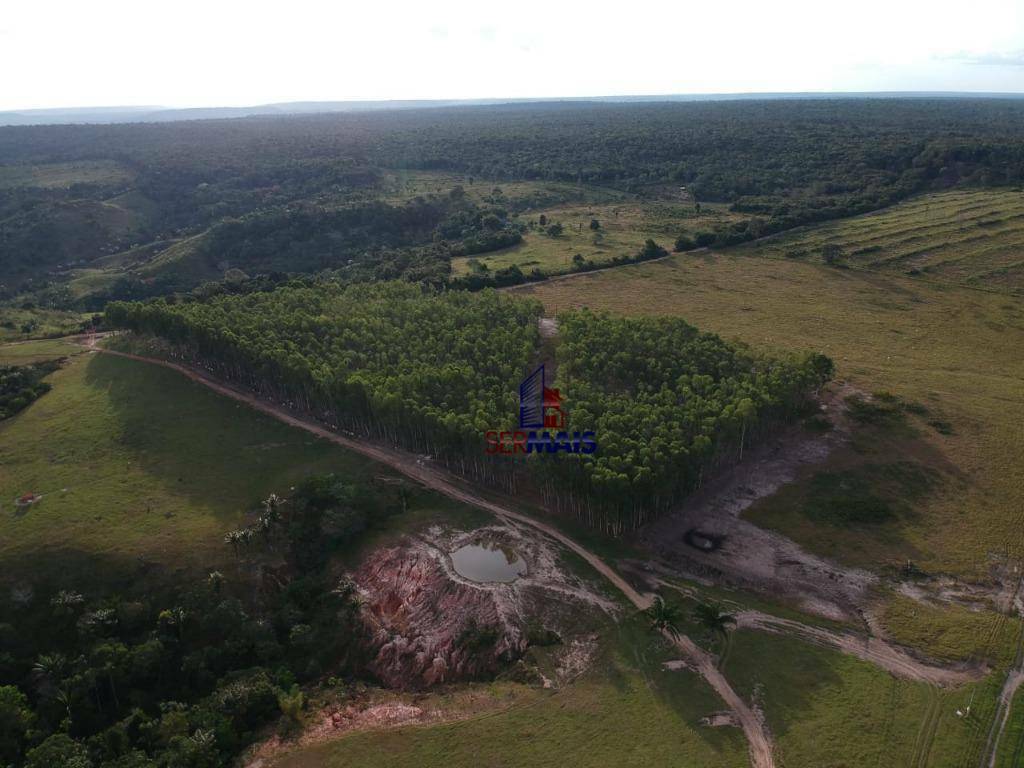 Fazenda à venda com 3 quartos, 7214625M2 - Foto 25