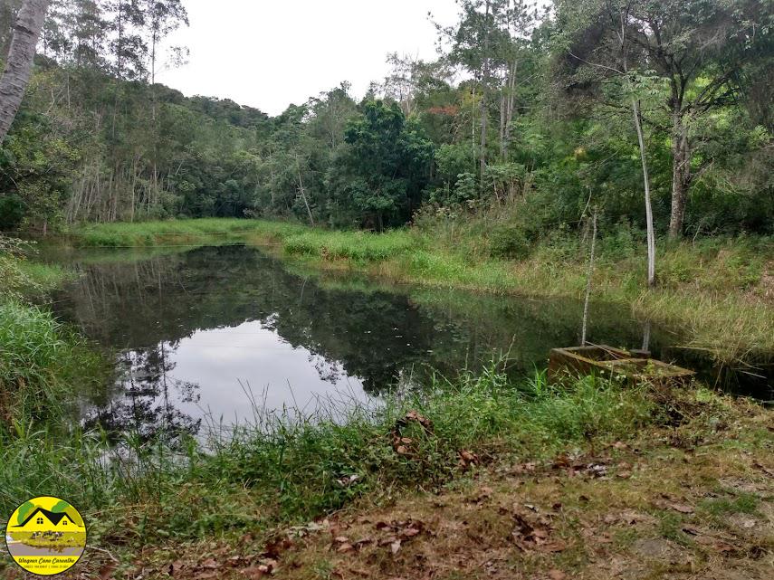 Fazenda à venda com 3 quartos, 30m² - Foto 8