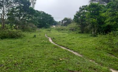 Fazenda à venda com 4 quartos, 15000m² - Foto 16