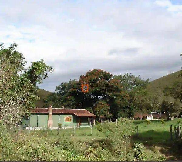 Fazenda à venda com 5 quartos, 1331000M2 - Foto 45