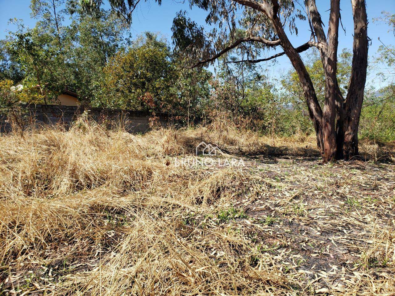 Terreno à venda, 60000M2 - Foto 23