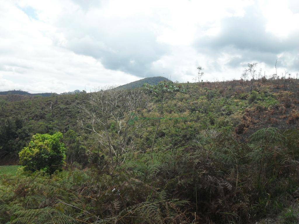 Loteamento e Condomínio à venda, 1024M2 - Foto 3