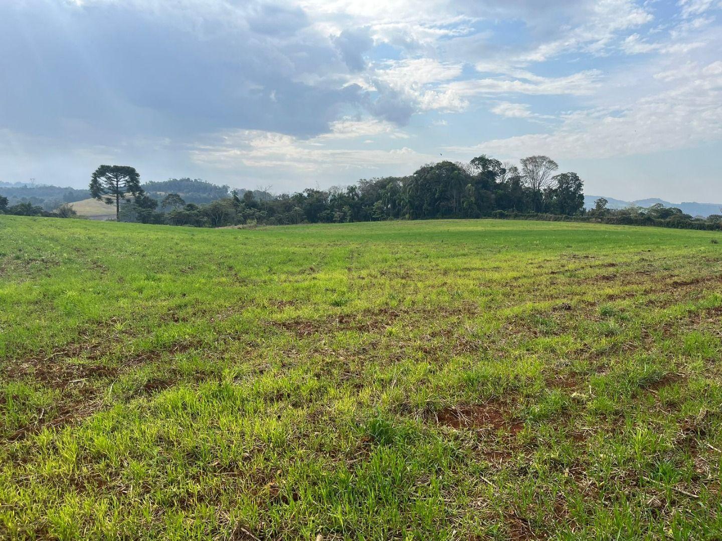 Terreno à venda, 30000m² - Foto 1