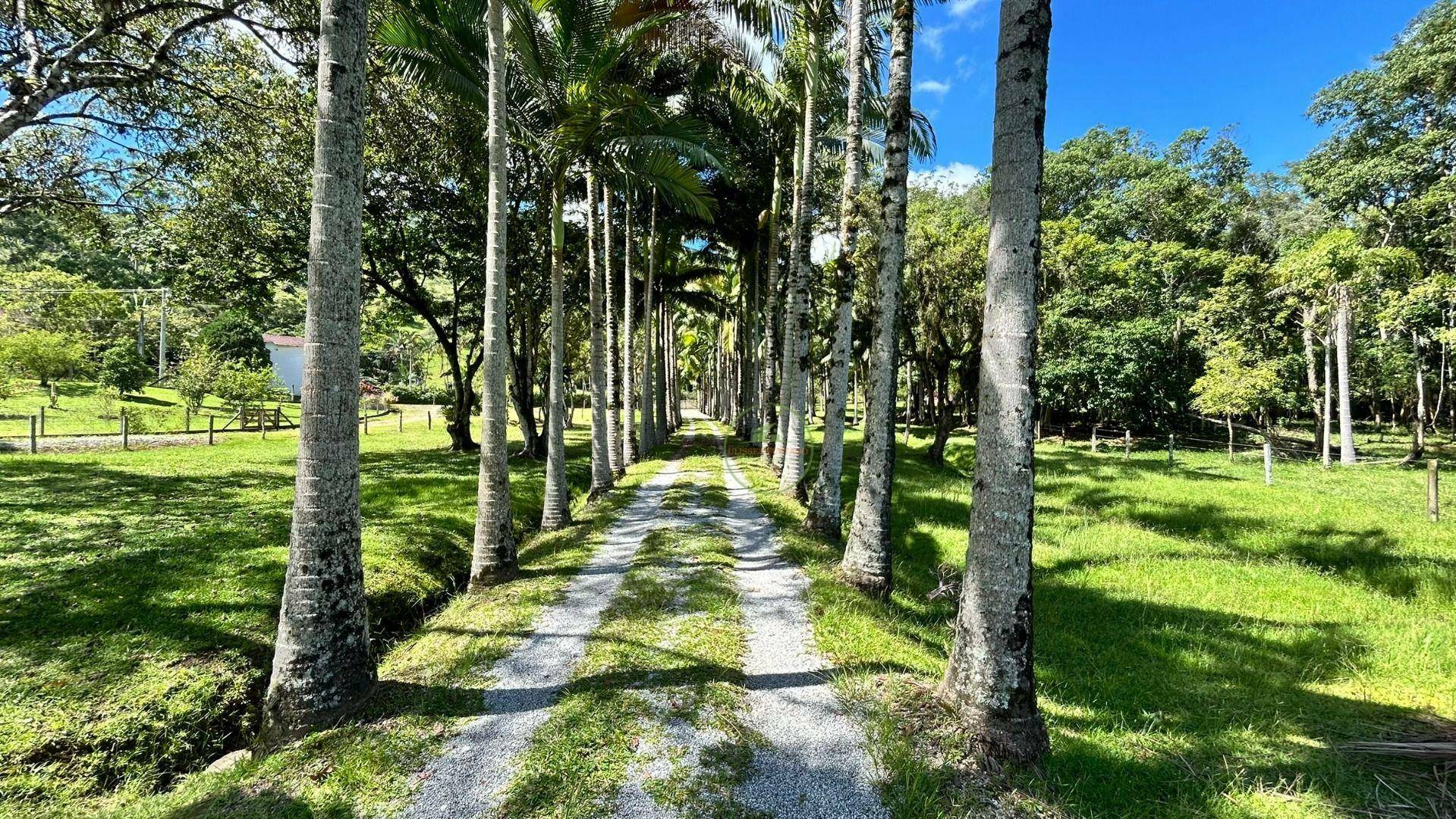 Chácara, 2 hectares - Foto 87