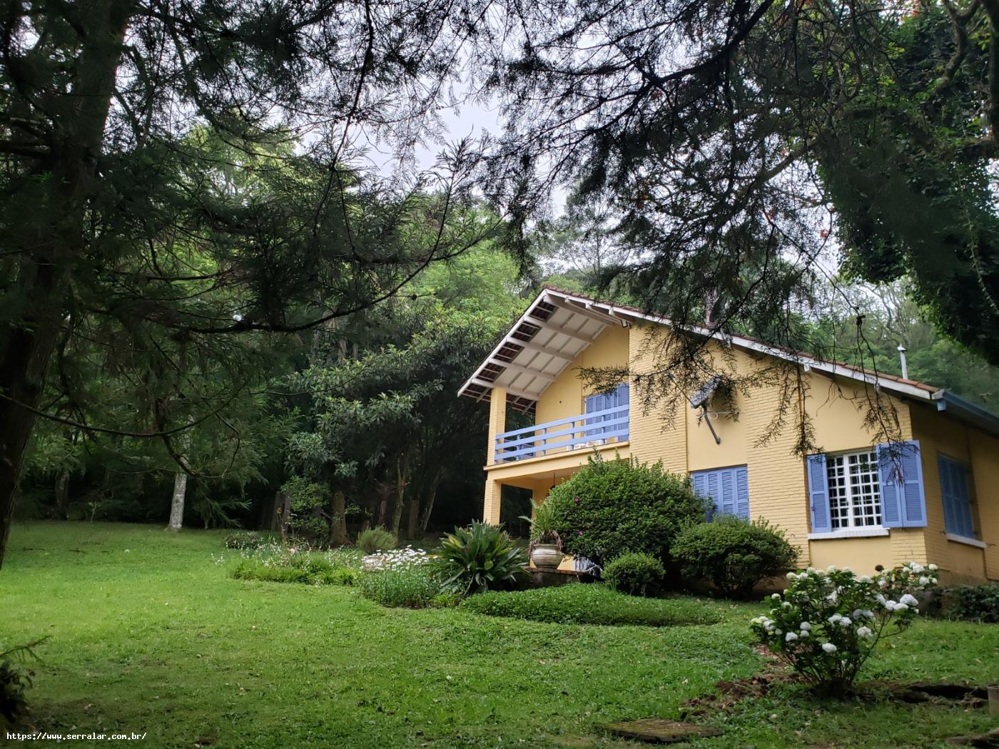 Fazenda à venda com 4 quartos, 15000m² - Foto 5