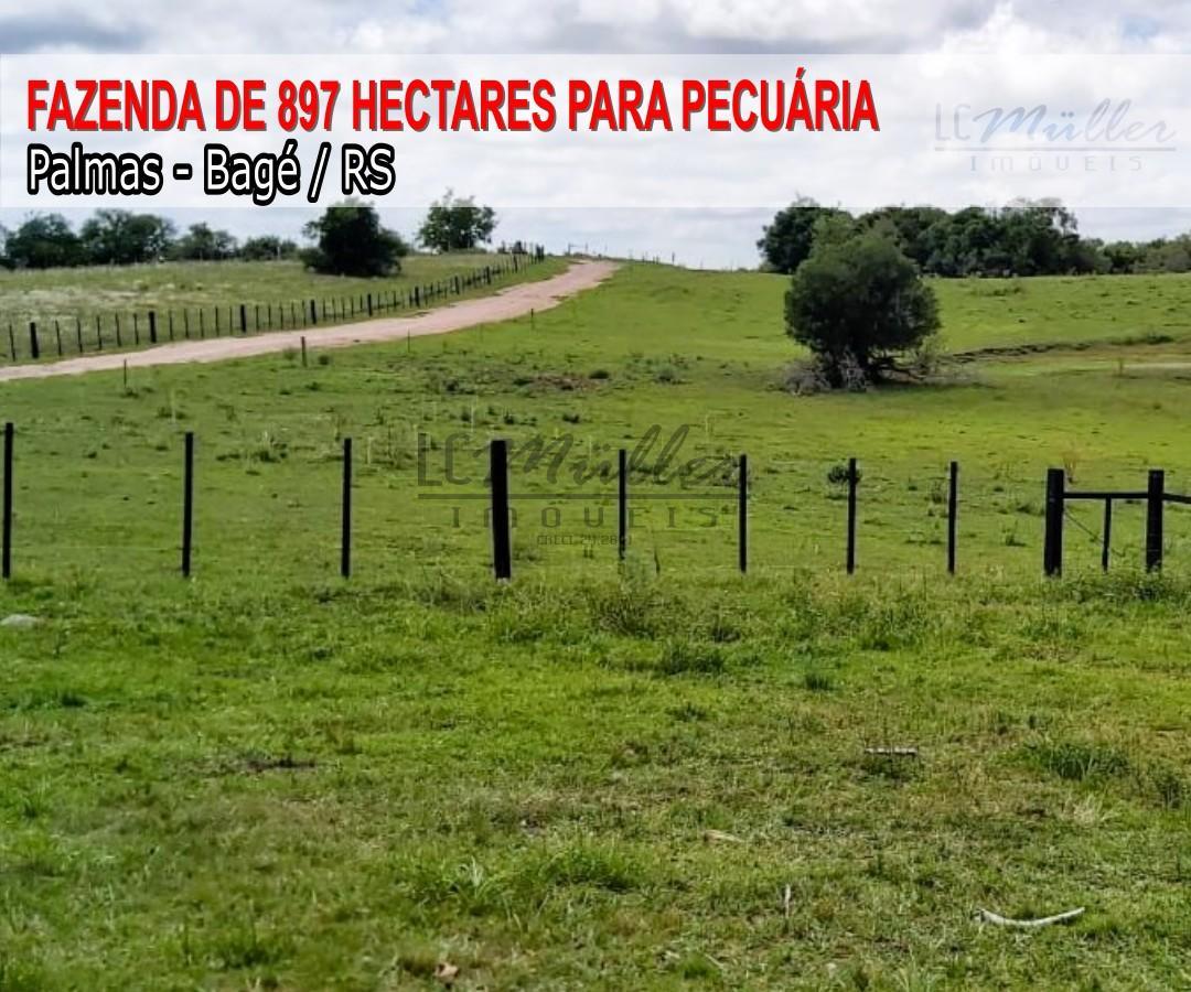 Fazenda à venda, 897m² - Foto 1