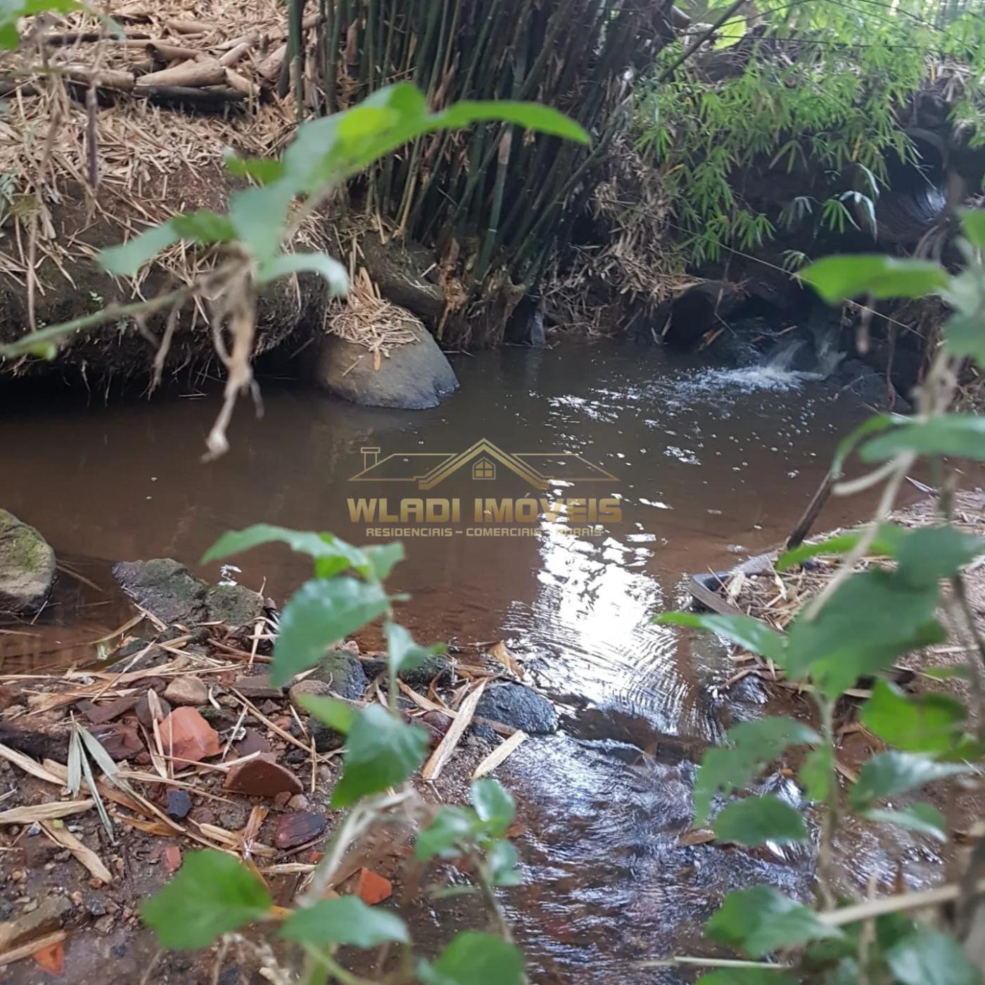 Fazenda à venda com 4 quartos, 45600m² - Foto 4