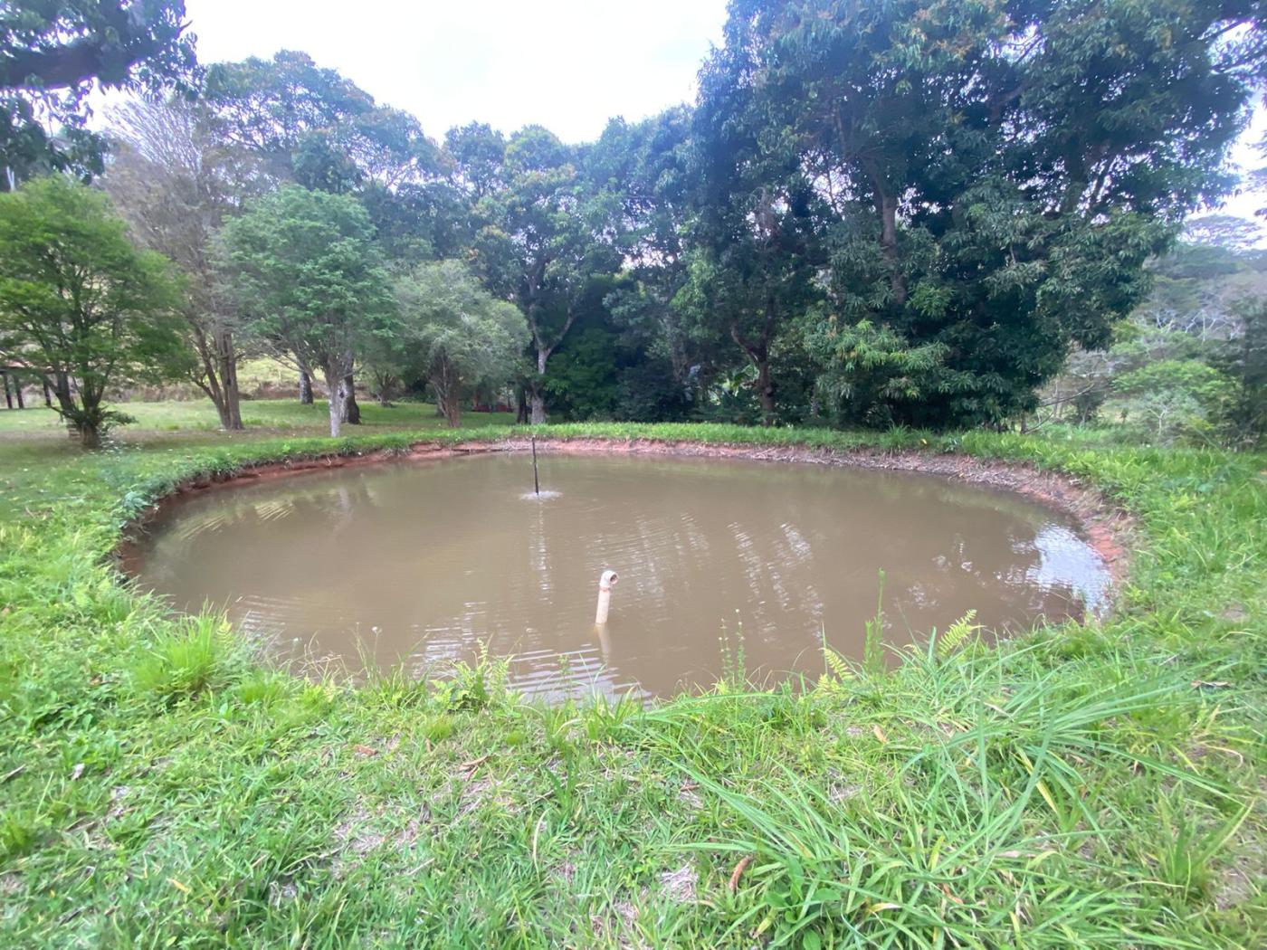 Sítio à venda com 5 quartos, 170000m² - Foto 33
