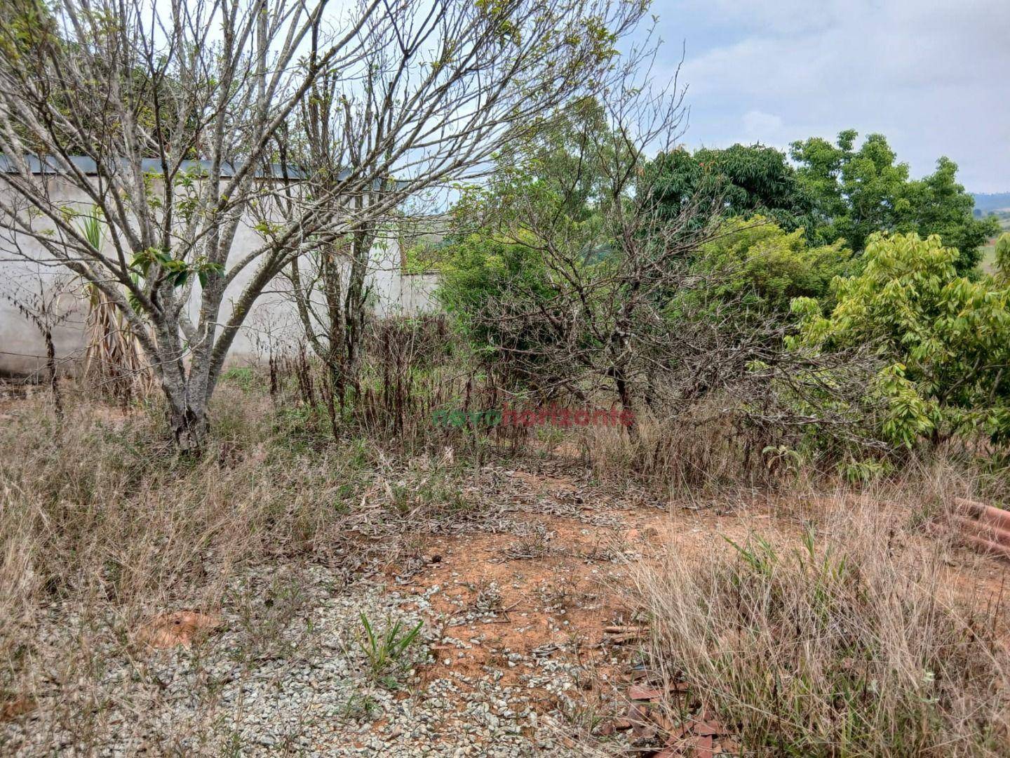 Chácara, 2000 m² - Foto 3