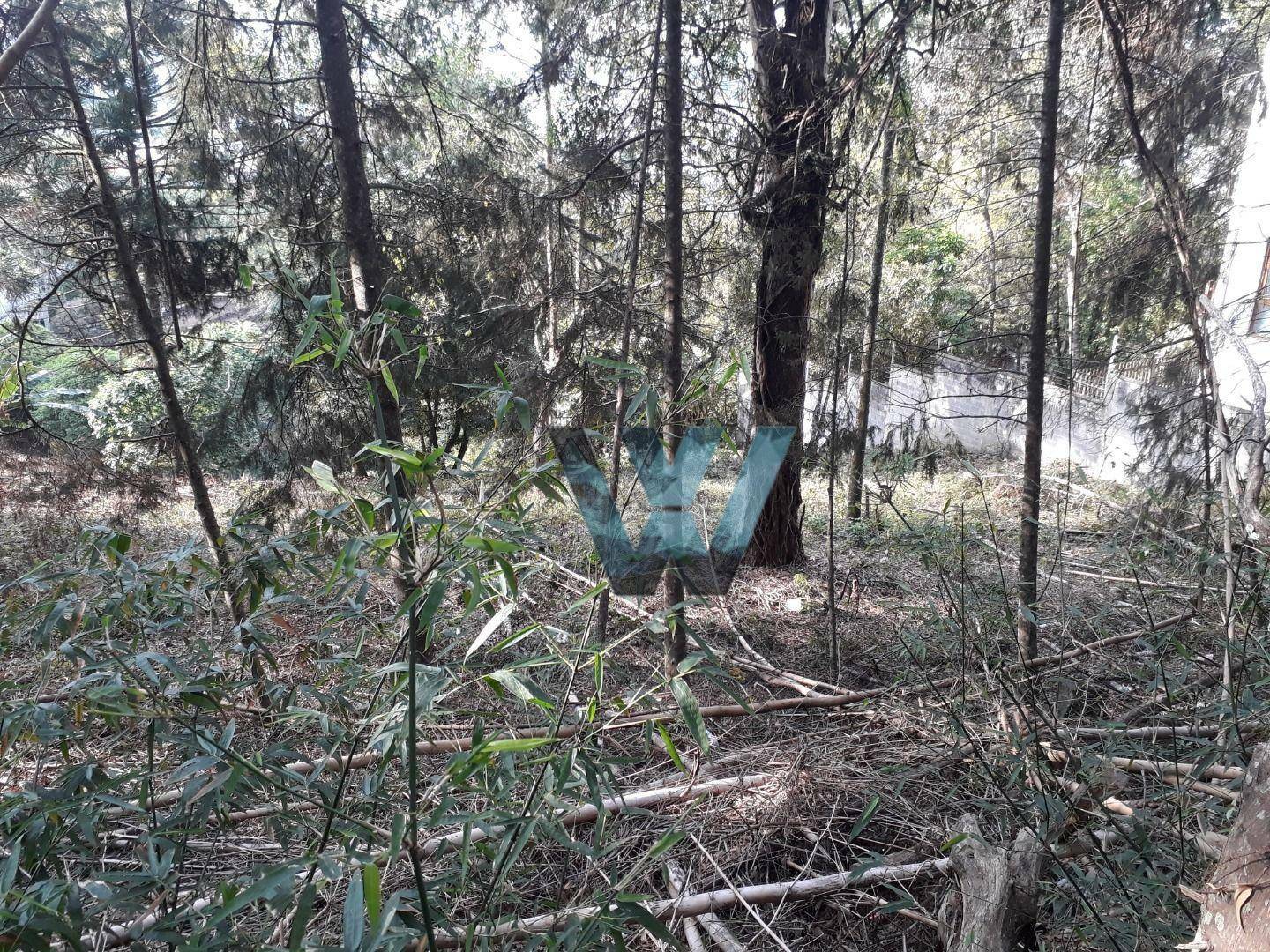 Terreno à venda, 525M2 - Foto 2