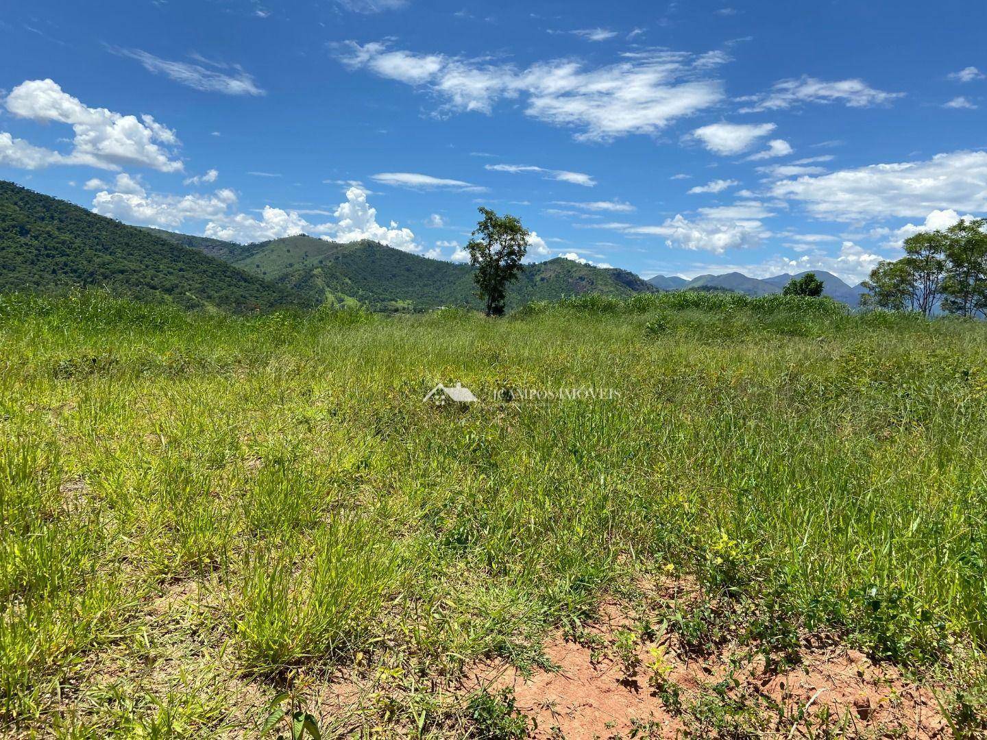 Terreno à venda, 5000M2 - Foto 6