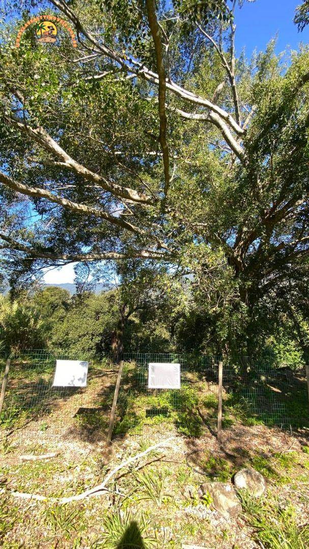 Terreno, 608 m² - Foto 5