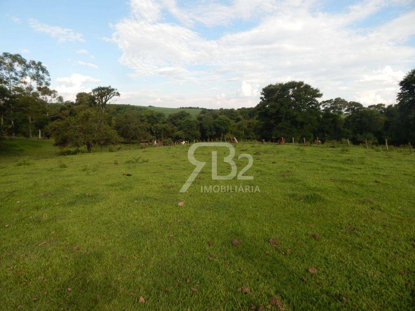 Terreno, 2 hectares - Foto 5