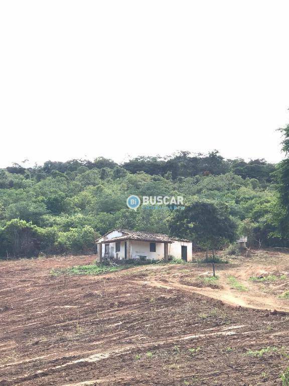 Terreno à venda, 1150000M2 - Foto 2